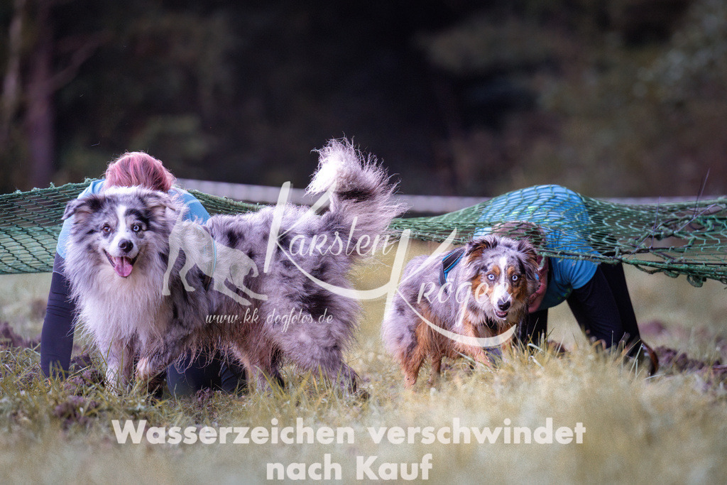 0816_ZZ90108 | kk-dogfotos