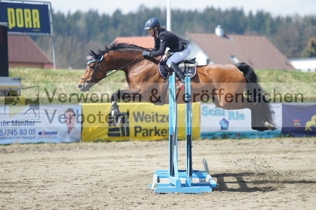 DSC02486 | equestrian-live-com