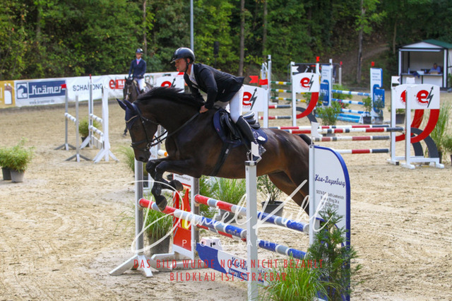 DKP40411 | Turniersportfotografie; Pferdefotografie; Dressurfotografie