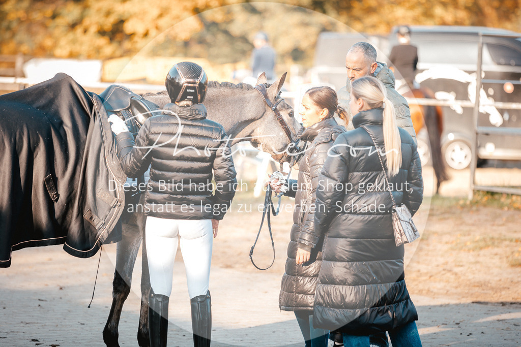 3I6A1539 | Stimmungsvolle Portraits und Reitsportfotografie im Ruhrgebiet und im Münsterland.

Pferdefotografie, Hundefotografie, Tierfotografie, Reportagen, Portraits von Tier und Mensch, Turnierfotografie in Bochum, Recklinghausen, Marl, Haltern am See, Dülmen.. - Realisiert mit Pictrs.com