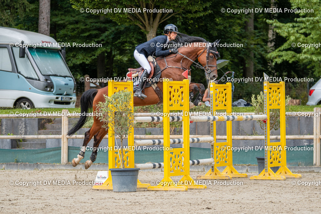 Hessische Tag 3-1380 | dv-media-shop - Realisiert mit Pictrs.com