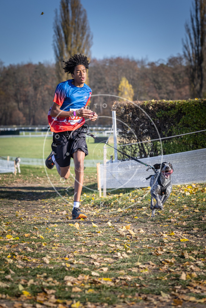 CaniXpix_DV3A9015 | Hundefotografie, Tierfotograf, Pfotenfotografie, Fotoshooting Hund, Hunde Portrait, Hundesport, Hundeportraits, Heideshooting, Hunde, Sportfotograf, Hundefotograf, Turnierhundsport, THS,  - Realisiert mit Pictrs.com