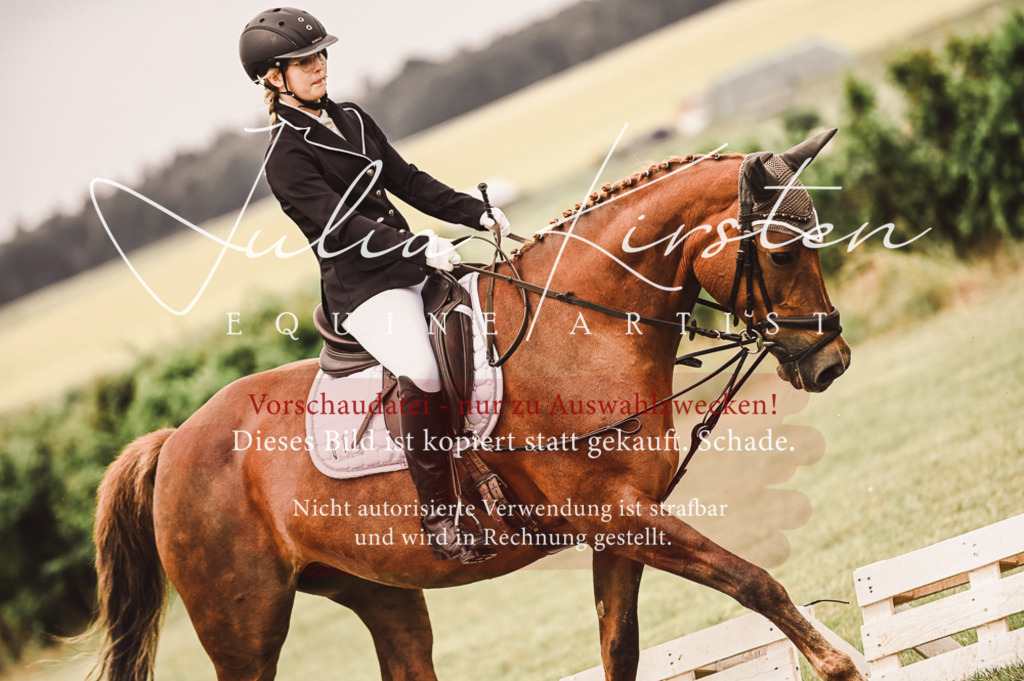 DSC_4800 | Pferde- und Turnierfotografie in Westsachsen. Pferdeportraits, Auftragszeichnungen und intuitive Kunst.