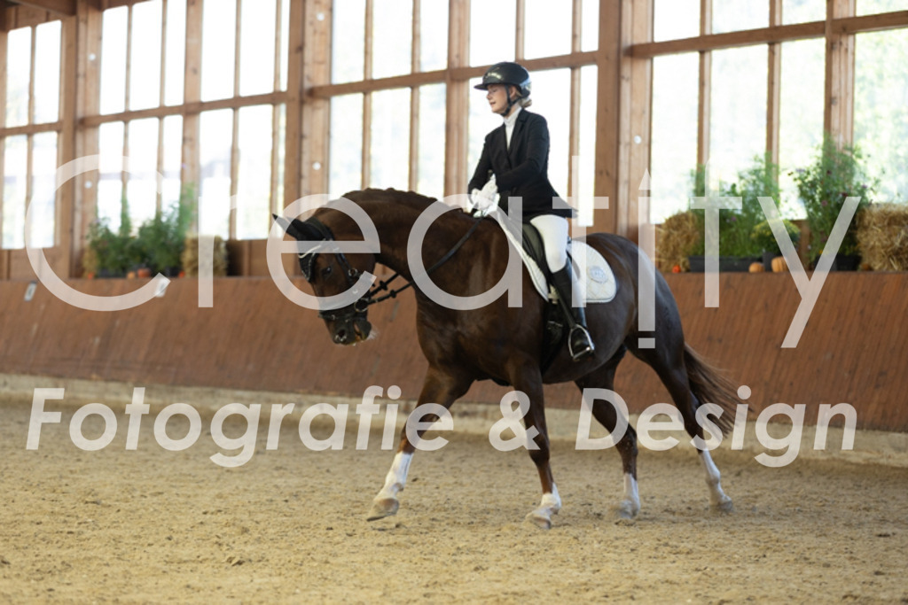 IMG_9222 | Creatify Fotografie