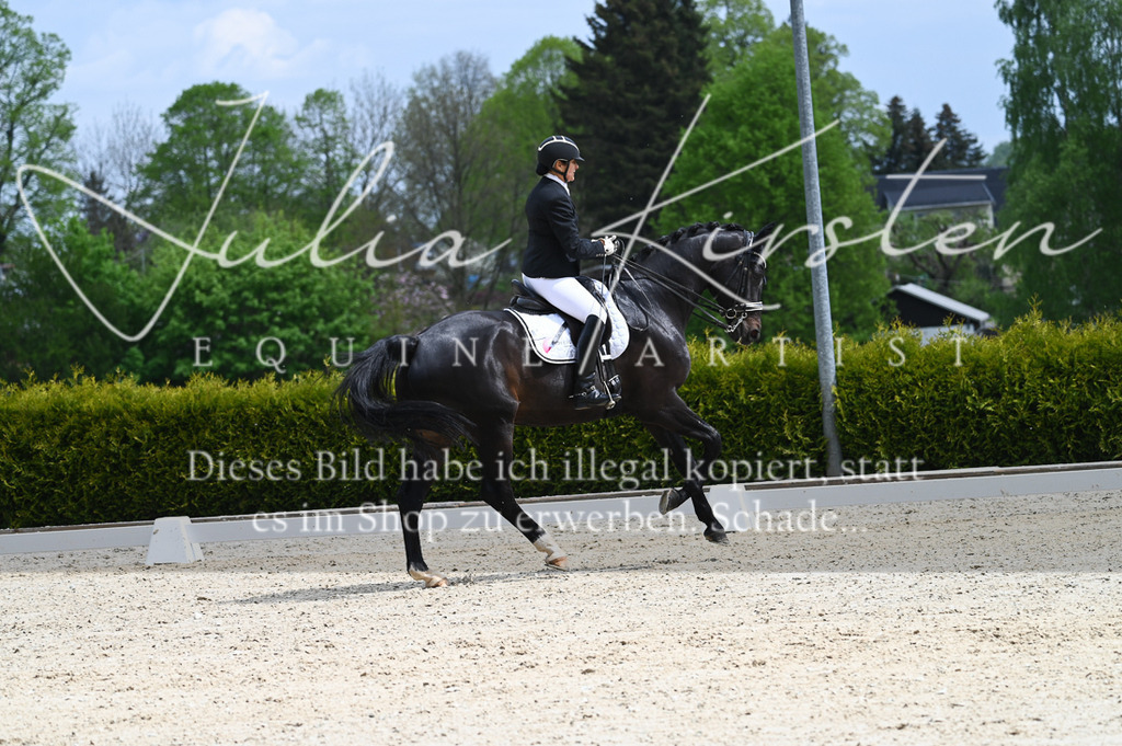 20230512_JK-Röhrsdorf-05-094 | Pferde- und Turnierfotografie in Westsachsen. Pferdeportraits, Auftragszeichnungen und intuitive Kunst.