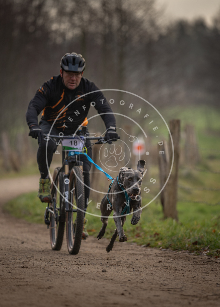 Pfotenfotografie_DV3A1920 | Hundefotografie, Tierfotograf, Pfotenfotografie, Fotoshooting Hund, Hunde Portrait, Hundesport, Hundeportraits, Heideshooting, Hunde, Sportfotograf, Hundefotograf, Turnierhundsport, THS,  - Realisiert mit Pictrs.com
