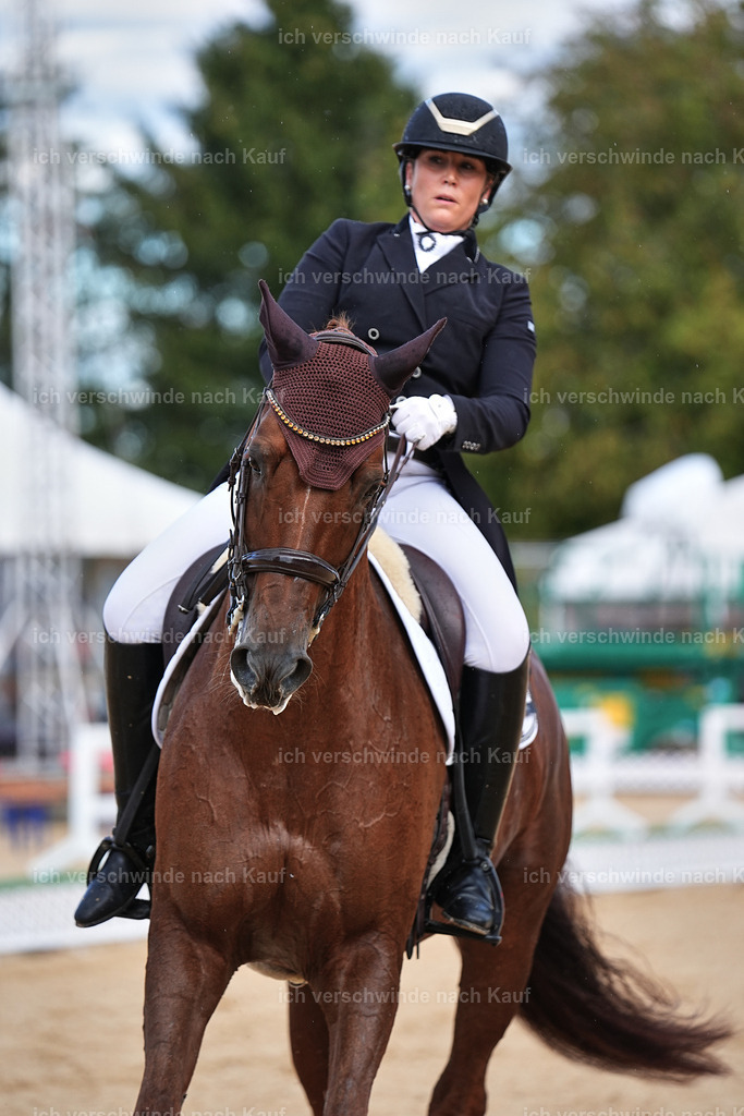 10-230-ST.GEORG SPECIAL -Marixx-3341 | working equitationturnier fotograf videograf stoibphotography marixx film working equitation deutschland reitsport turnierfotografie eventfotografie equestrian events