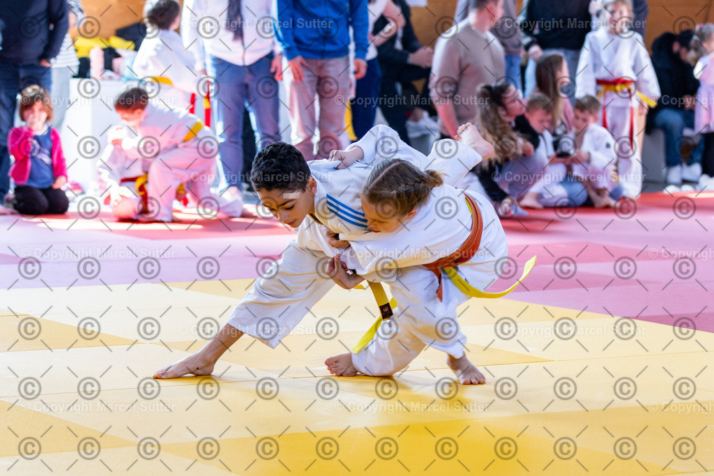 20260322-120857-_G2A5136-MarcelSutter | Finde und bestelle deine Sport- und Eventfotos in höchster Qualität. Professionelle Aufnahmen von Wettkämpfen, Veranstaltungen und Outdoor-Events – schnell und einfach online bestellen. - Realisiert mit Pictrs.com