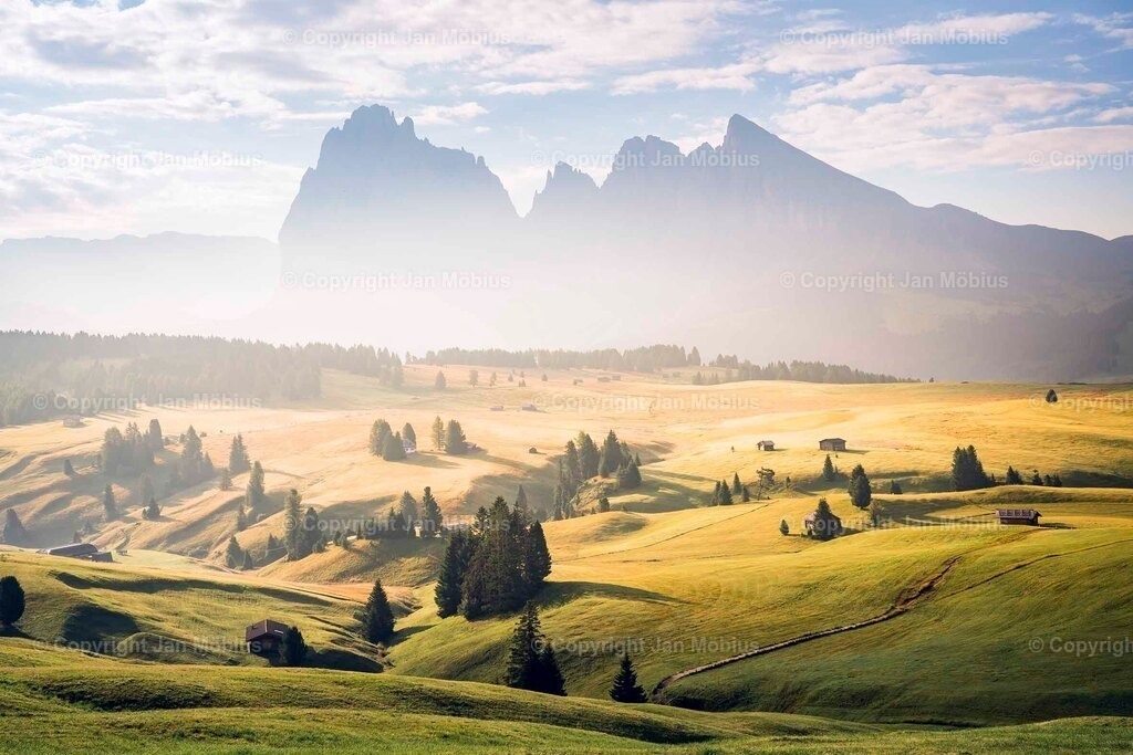 _DSC2151 | Leipzig Wandbilder Drucke Prints Leinwand Stadtmotive Leipzig Fotosdruck Kunstdrucke Bilder Leipzig Stadtansichten Acrylglasbilder Leipzig Wanddeko Fine Art Prints Wandbilder Büro Leipzig Bilder Praxis Zuhause Bilderdruck Poster Posterlounge Kunstdrucke - Realisiert mit Pictrs.com