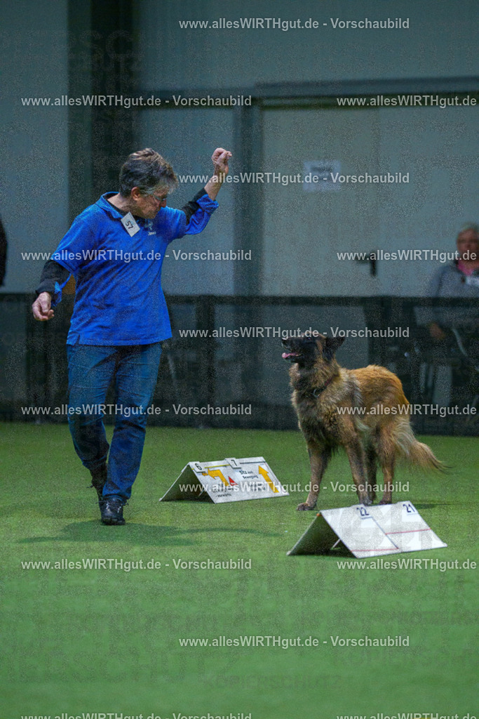 7R502553 | Professionelle Tierfotografie in Mönchengladbach von Daniel Wirth (allesWIRTHgut). Liebevolle & natürliche Bilder von Hunden & Katzen für unvergessliche Erinnerungen.