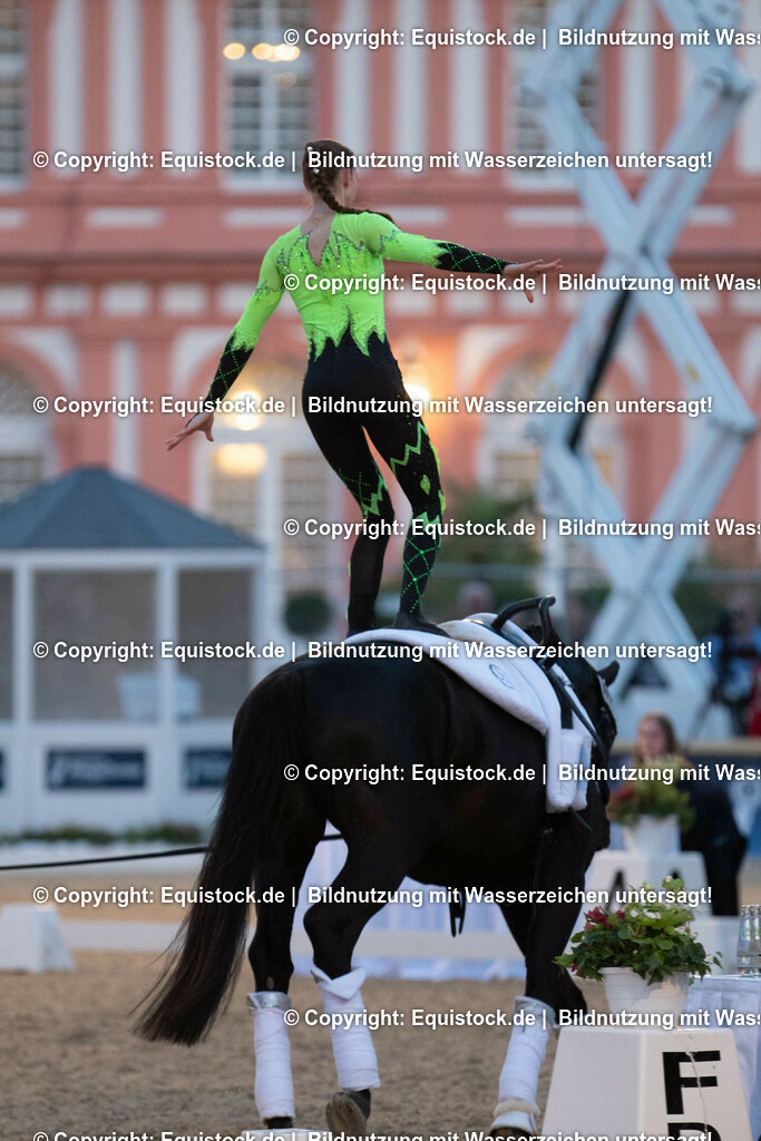 20230527_Voltigieren_NASPA_Flutlicht_0398 | equistock