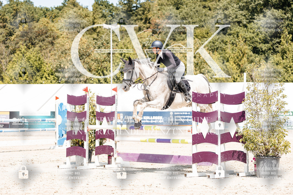CK900929 | Turnierfotografie Pferdefotografie Trier Rheinland-Pfalz Pferdesport Reitsport Tierfotografie Sportfotografie Pferdevideo Pferdevideografie Equestrianvideography equestrianphotography  - Realisiert mit Pictrs.com