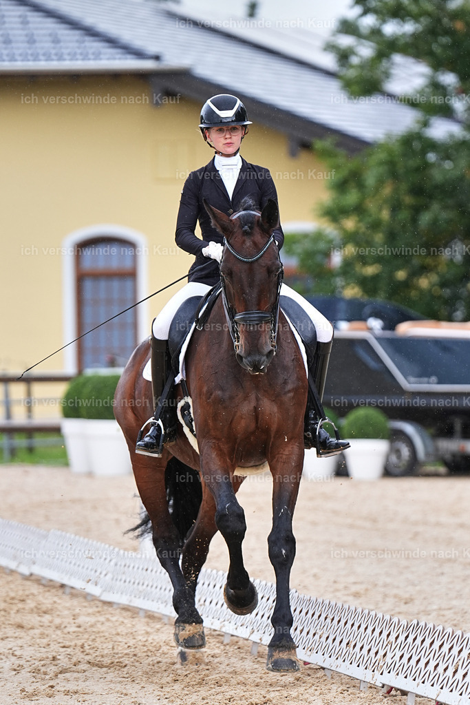05-022-DRESSUR M_  -Marixx-4967 | working equitationturnier fotograf videograf stoibphotography marixx film working equitation deutschland reitsport turnierfotografie eventfotografie equestrian events