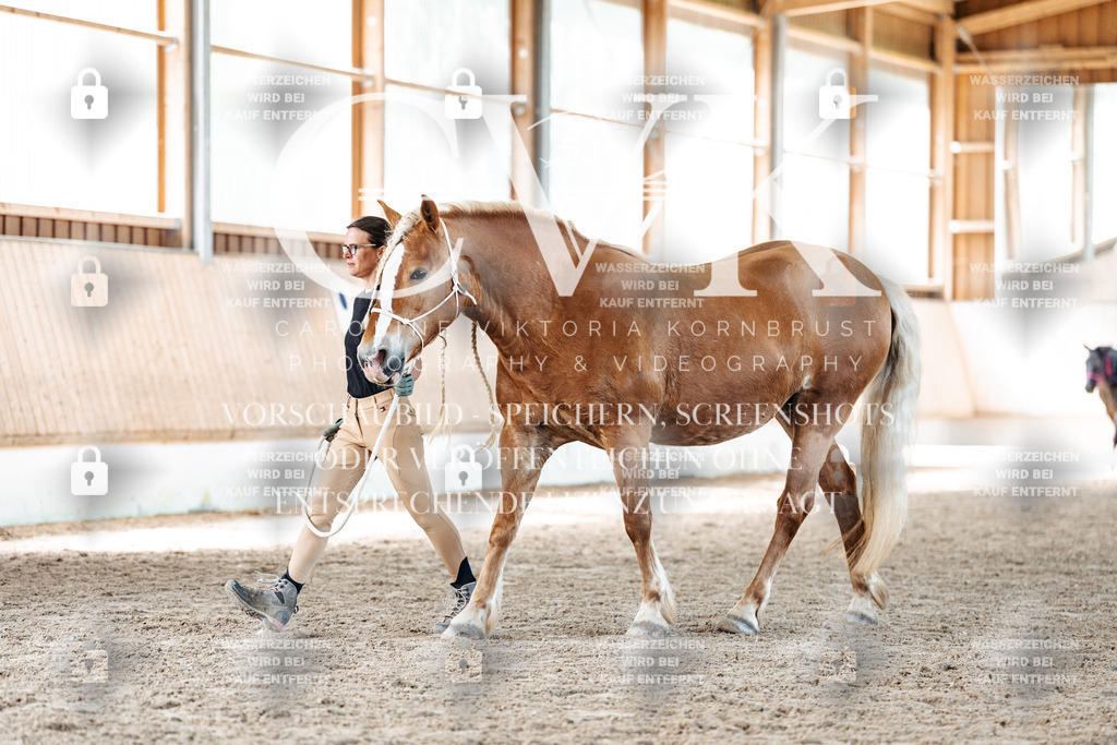 CK906709 | Turnierfotografie Pferdefotografie Trier Rheinland-Pfalz Pferdesport Reitsport Tierfotografie Sportfotografie Pferdevideo Pferdevideografie Equestrianvideography equestrianphotography  - Realisiert mit Pictrs.com