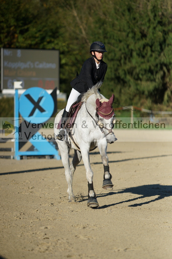 DSC08094 | equestrian-live-com