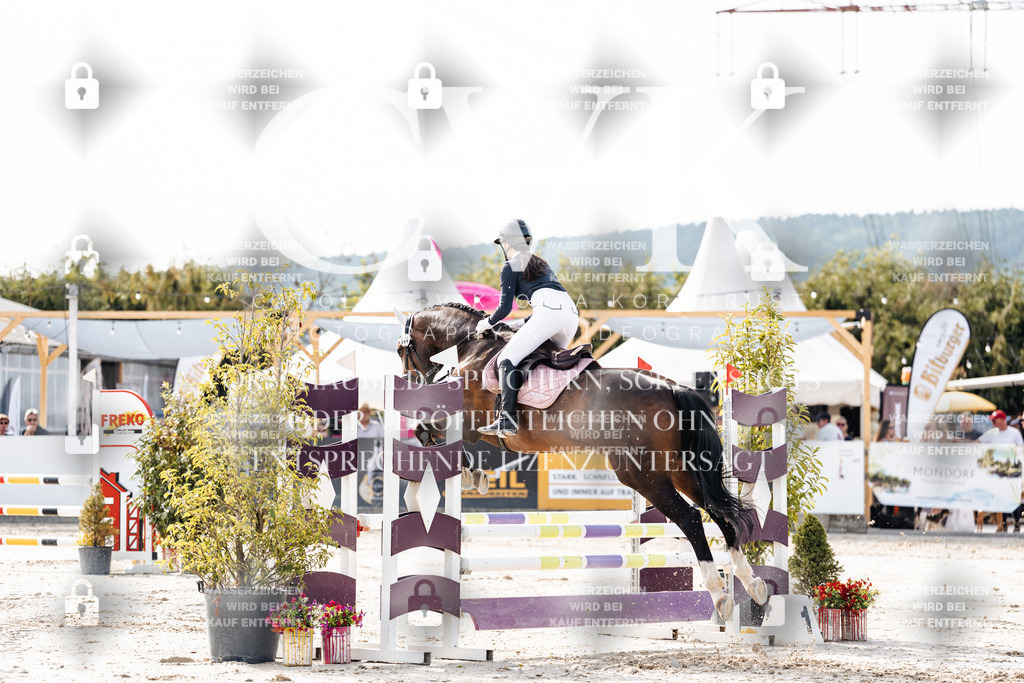 CK905596 | Turnierfotografie Pferdefotografie Trier Rheinland-Pfalz Pferdesport Reitsport Tierfotografie Sportfotografie Pferdevideo Pferdevideografie Equestrianvideography equestrianphotography  - Realisiert mit Pictrs.com