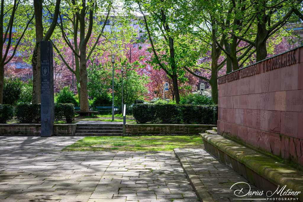 Mainzer Neustadt | Bilder aus der Mainzer Neustadt