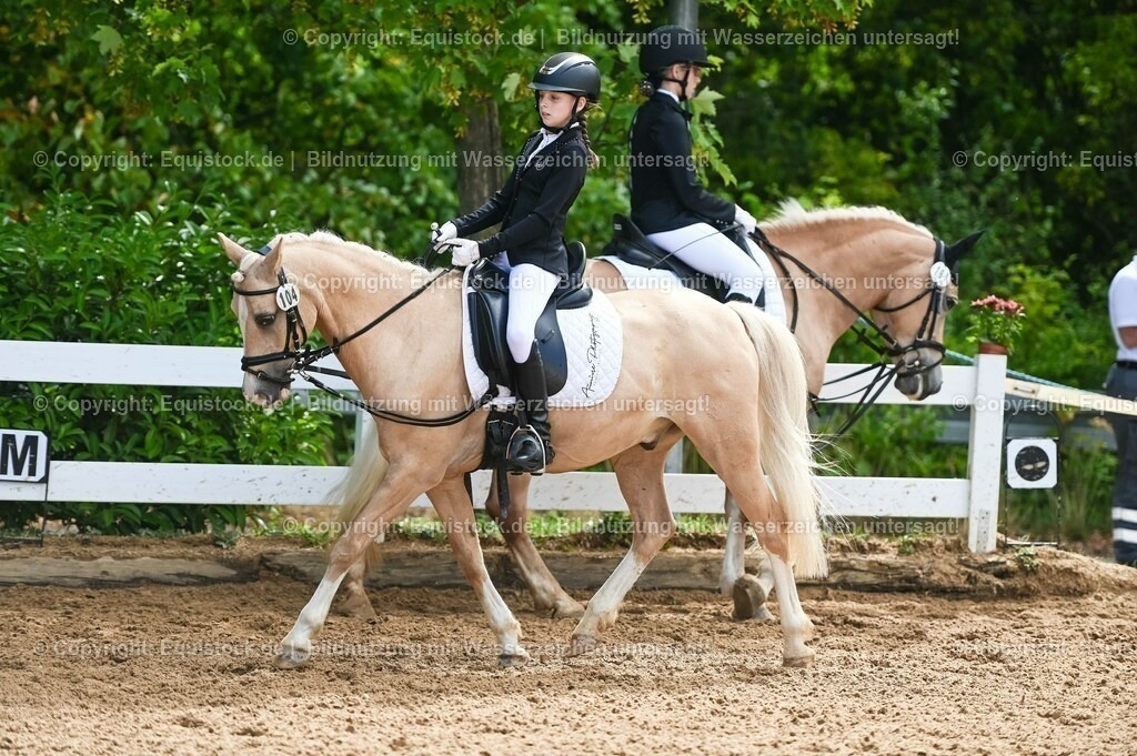 20230716_10-3_Reiter-WB Schritt - Trab - Galopp_0108 | equistock