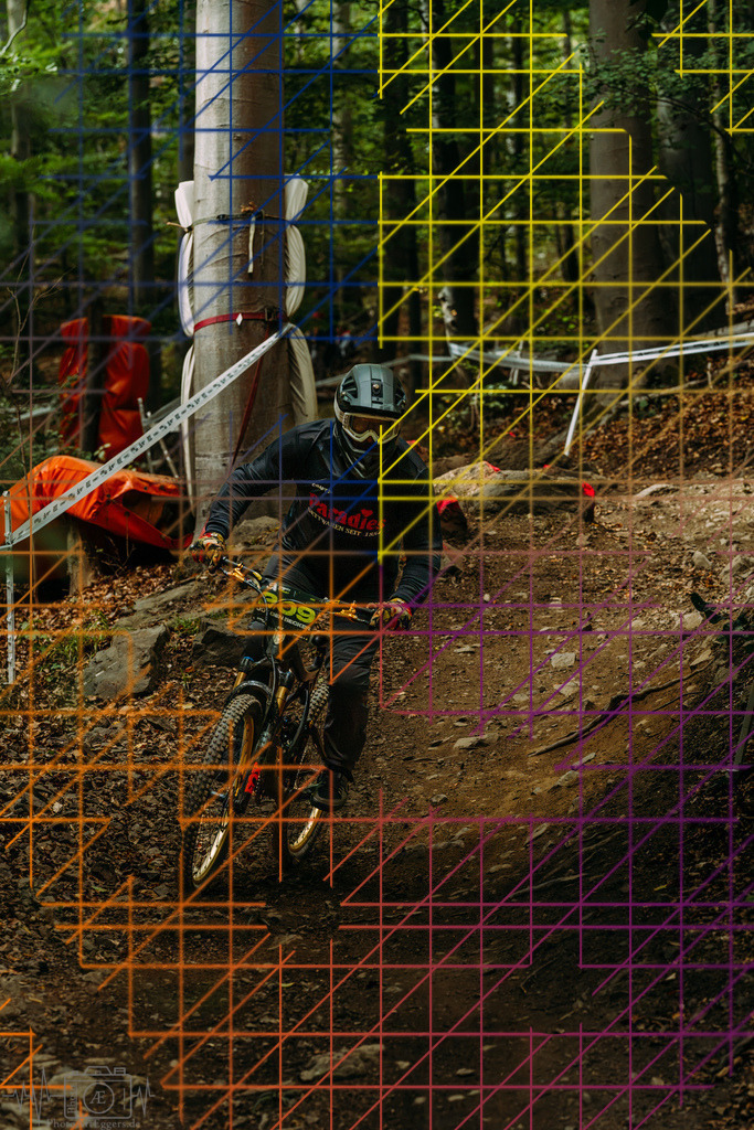 PAE-1814 | Einzigartige Fotokunst für dein Zuhause: Entdecke hochwertige Wandbilder, edle Prints und emotionale Motive von Wildlife, Natur und Landschaften - Realisiert mit Pictrs.com