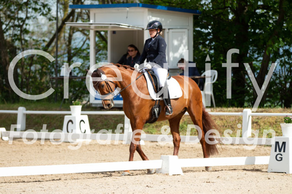 IMG_4168 | Creatify Fotografie