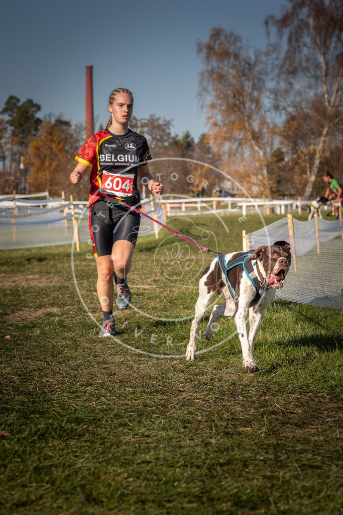 CaniXpix_0L8A8599 | Hundefotografie, Tierfotograf, Pfotenfotografie, Fotoshooting Hund, Hunde Portrait, Hundesport, Hundeportraits, Heideshooting, Hunde, Sportfotograf, Hundefotograf, Turnierhundsport, THS,  - Realisiert mit Pictrs.com
