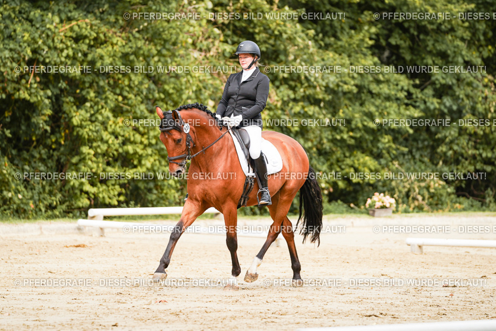 DSC01843 | Pferdegrafie