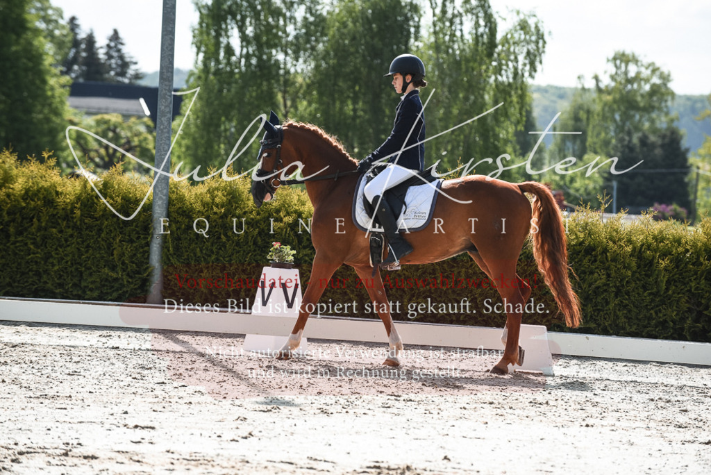 20230518_JK-Röhrsdorf-09-1475 | Pferde- und Turnierfotografie in Westsachsen. Pferdeportraits, Auftragszeichnungen und intuitive Kunst.