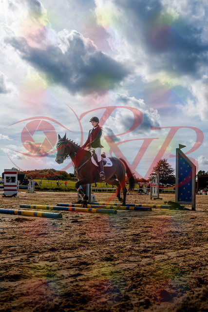 2026_10_03_Siefer-Hof_143359_Z63_04971863 | Professionelle Reitsport-, Turnier- und Eventfotografie von Robert Broda. Galerien mit ausgewählten und bearbeiteten Bildern direkt online ansehen und bestellen.