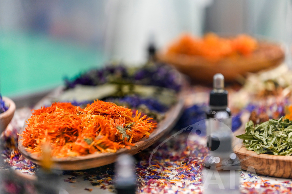 _DWI3600 | Das Herz der internationalen Bio-Branche schlug vom 26.–29.07.2022 für vier Tage in Nürnberg. Die BIOFACH, Weltleitmesse für Bio-Lebensmittel, und die VIVANESS, Internationale Fachmesse für Naturkosmetik, meldet sich mit der einmaligen „Summer Edition“ zurück. Groß war die Wiedersehensfreude der über 24.000 Fachbesucher aus 137 Ländern. Im Fokus: Der persönliche Austausch, Networking und vertiefte Gespräche zu den Themen der Zeit. Aber auch: Neuheiten und Trends entdecken und eintauchen mit allen Sinnen in die Produktvielfalt der 2.276 Aussteller aus 94 Ländern. Nürnberg, 29.07.2022 - Realisiert mit Pictrs.com