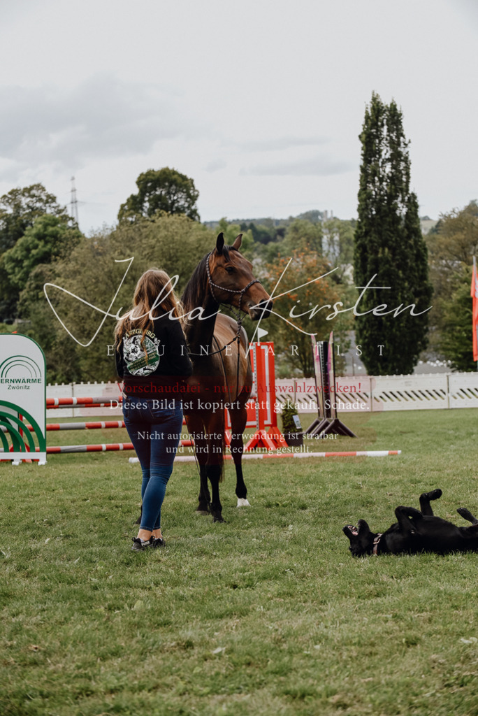 DSC_4019 | Pferde- und Turnierfotografie in Westsachsen. Pferdeportraits, Auftragszeichnungen und intuitive Kunst.