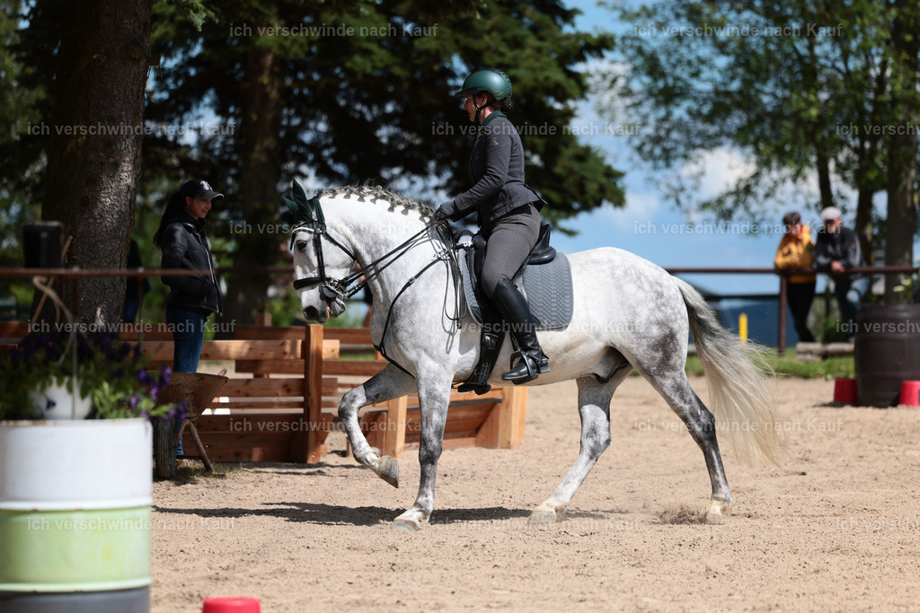 KlasseL_Stoibphotography_CAM22849.JPG | working equitationturnier fotograf videograf stoibphotography marixx film working equitation deutschland reitsport turnierfotografie eventfotografie equestrian events