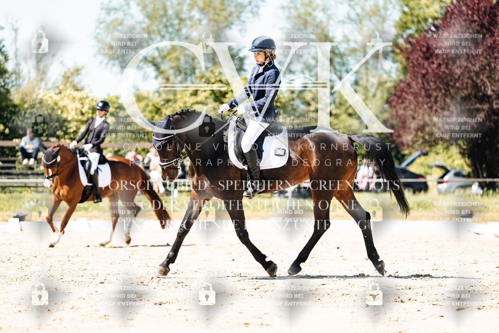 CK905312 | Turnierfotografie Pferdefotografie Trier Rheinland-Pfalz Pferdesport Reitsport Tierfotografie Sportfotografie Pferdevideo Pferdevideografie Equestrianvideography equestrianphotography  - Realisiert mit Pictrs.com