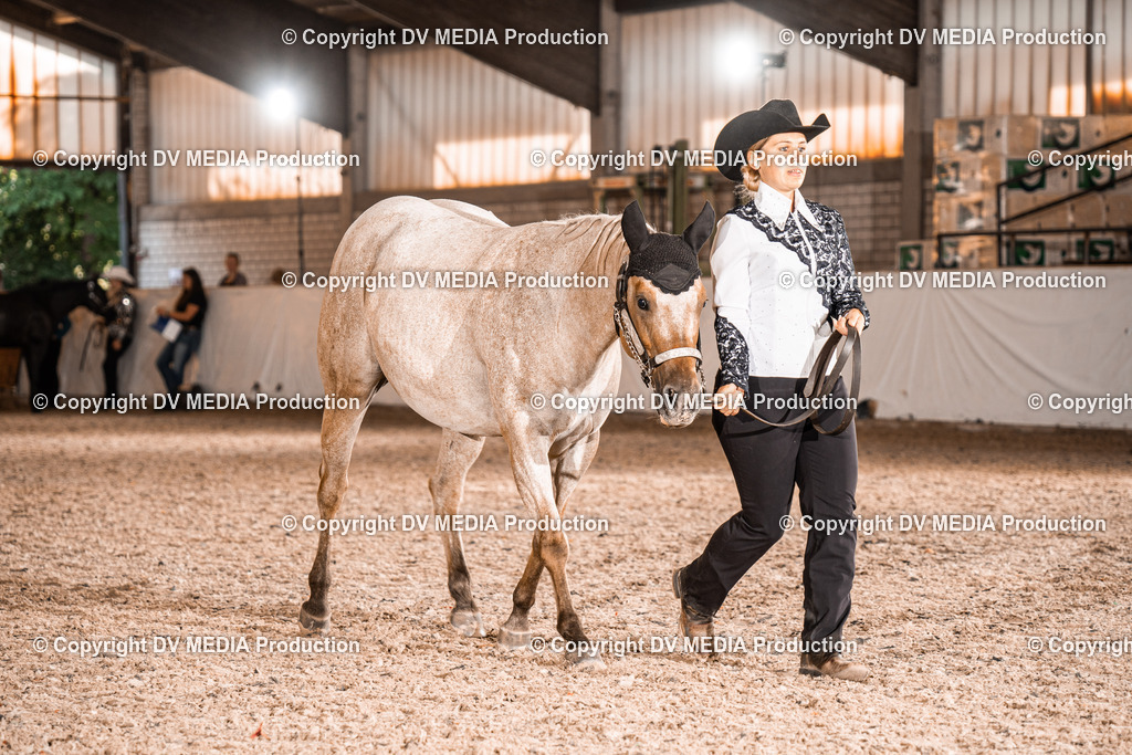 ZH100135 | dv-media-shop - Realisiert mit Pictrs.com