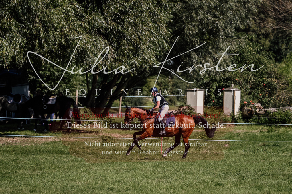 DSC_1976 | Pferde- und Turnierfotografie in Westsachsen. Pferdeportraits, Auftragszeichnungen und intuitive Kunst.