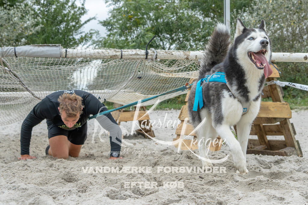 1112_ZZ95685 | kk-dogfotos