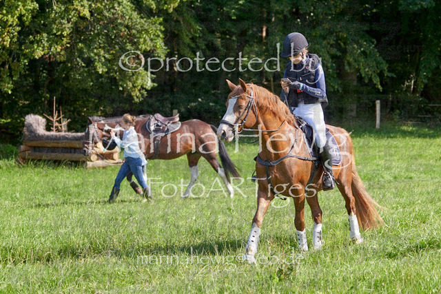 08-23 Bredeneek Jagd_MCH8609_Marina Hewig | Fotografie, FotoArt, PferdesportArt, Pferdesportfotografie, Landschaftsfotografie, Reisefotografie, Reise, Pferde - Realisiert mit Pictrs.com