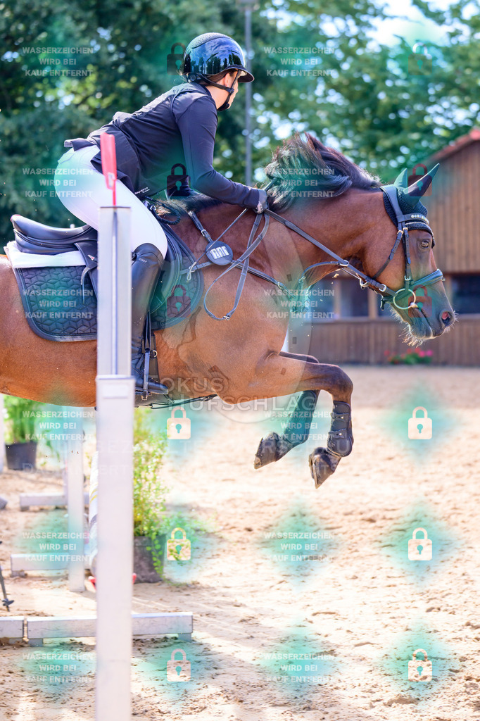 30082026-Giesenbach-Prfg16-0613 | Fokus Hufschlag Fotografie - Realisiert mit Pictrs.com