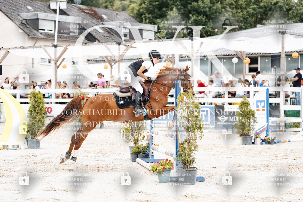 CK908236 | Turnierfotografie Pferdefotografie Trier Rheinland-Pfalz Pferdesport Reitsport Tierfotografie Sportfotografie Pferdevideo Pferdevideografie Equestrianvideography equestrianphotography  - Realisiert mit Pictrs.com