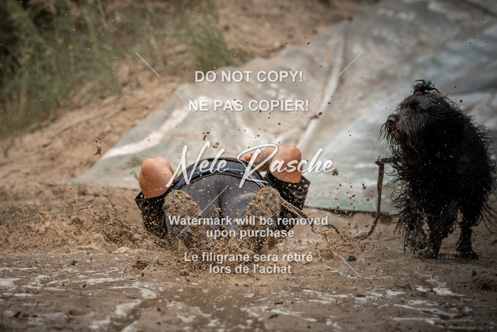 nelerasche_sa1200-1230_428 | nelerasche