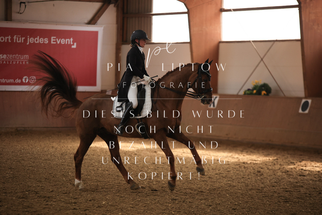 IMGT4796 | pl-fotografie