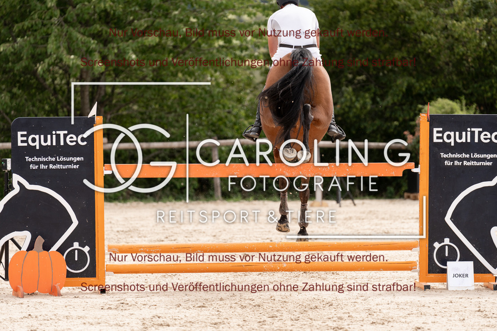 DSC06592 | Springturnier_Teamchallege_Talheim_2026, Alexander_Auer, Ma_Belle_98