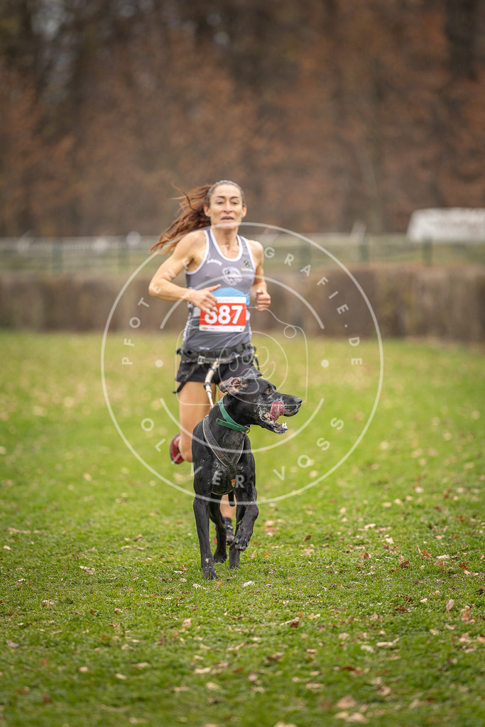 CaniXpix_DV3A6900 | Hundefotografie, Tierfotograf, Pfotenfotografie, Fotoshooting Hund, Hunde Portrait, Hundesport, Hundeportraits, Heideshooting, Hunde, Sportfotograf, Hundefotograf, Turnierhundsport, THS,  - Realisiert mit Pictrs.com