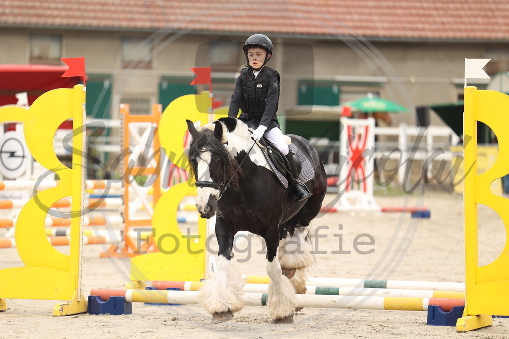 994A8322 | sabrinanicolaifotografie - Realisiert mit Pictrs.com