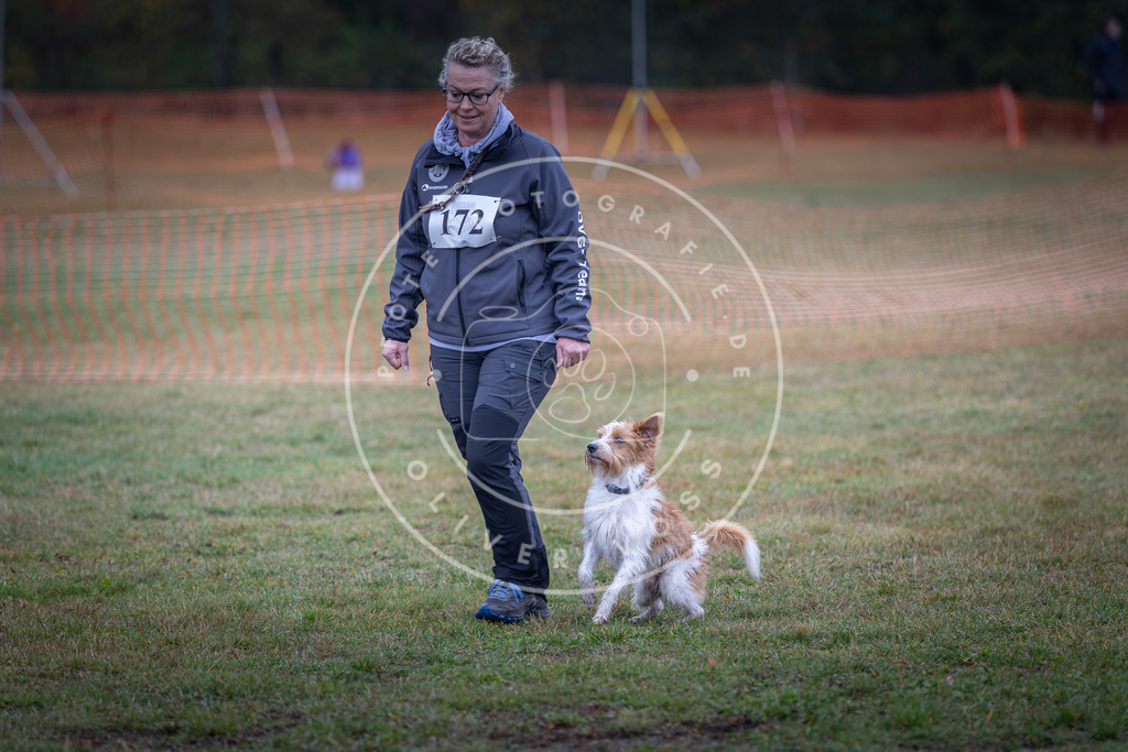 Pfotenfotografie_DV3A9200 | Hundefotografie, Tierfotograf, Pfotenfotografie, Fotoshooting Hund, Hunde Portrait, Hundesport, Hundeportraits, Heideshooting, Hunde, Sportfotograf, Hundefotograf, Turnierhundsport, THS,  - Realisiert mit Pictrs.com