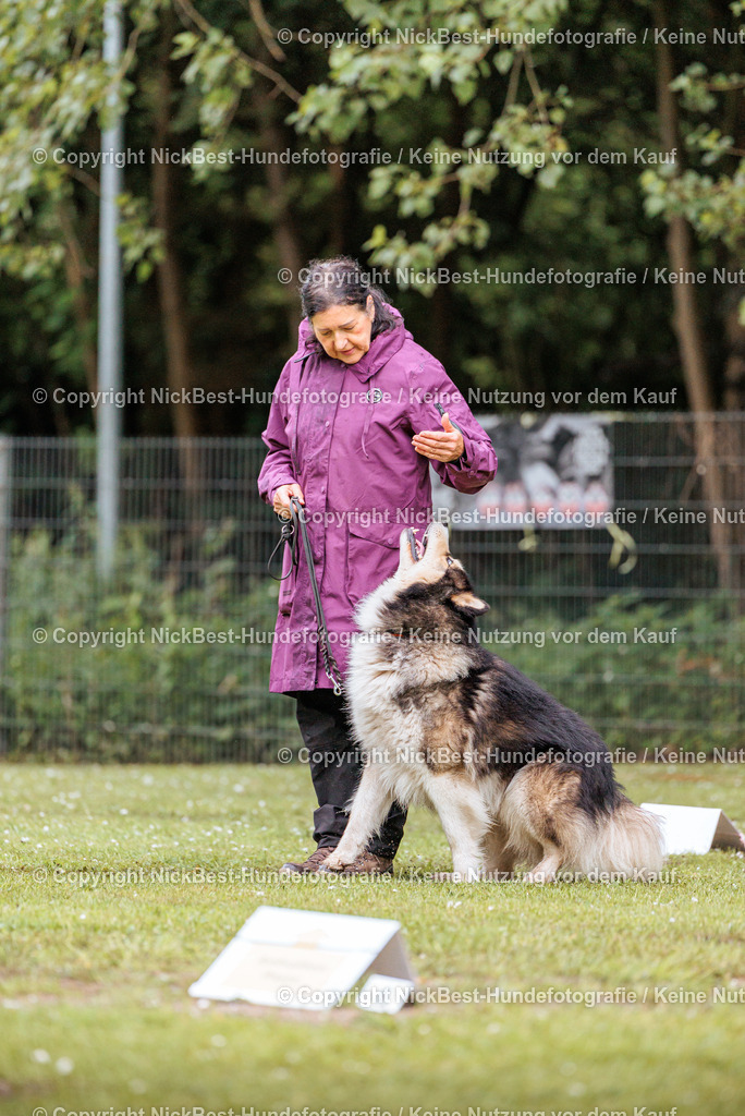 RO-Blumenthal-2026-Nickbest-Hundefotografie-0818 | Dein Hund! Dein Moment! Deine Erinnerungen! Hundefotografie in Bremen Blumenthal. Ich fange die besonderen Momente deines Vierbeiners ein – ob Indoor mit Blitzanlage oder in der freien Natur. Sicher dir dein Moment und dein Termin für eure Erinnerungen.