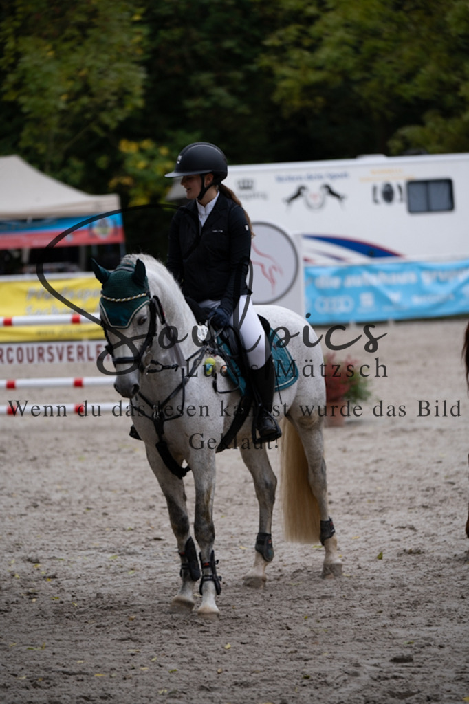 A7V00339 | Pferdefotograf