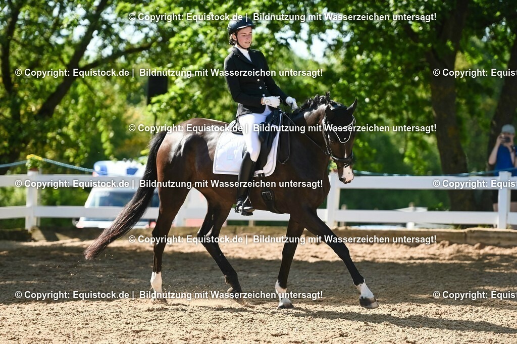 20230715_06_Dressurpferdeprfg. Kl.A_0364 | equistock