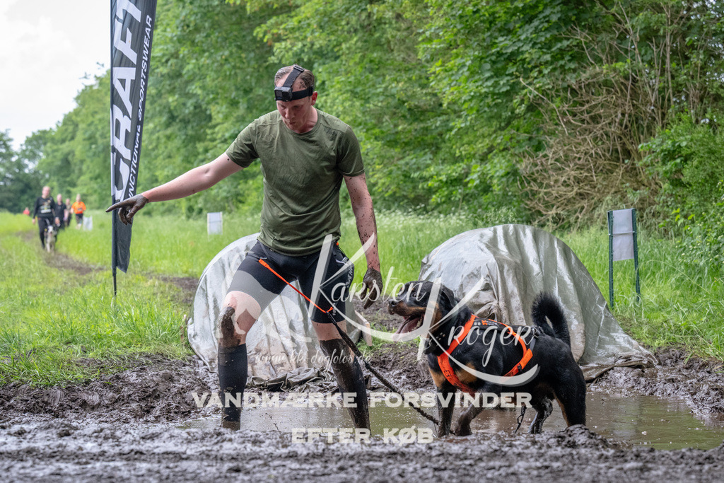 1629_ZZ94229 | kk-dogfotos