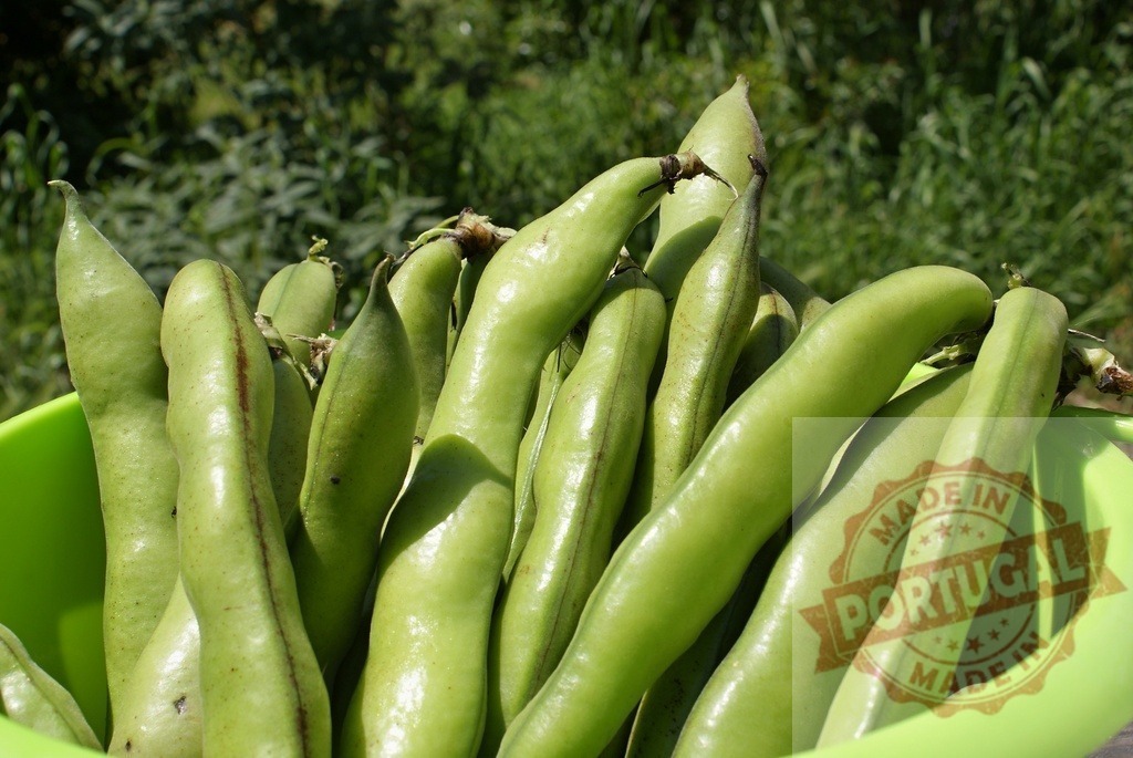 Fresh broad beans in green bowl with harvest | Broad bean pods filling a bowl on a sunny day, representing fresh harvest and healthy eating - Realisiert mit Pictrs.com