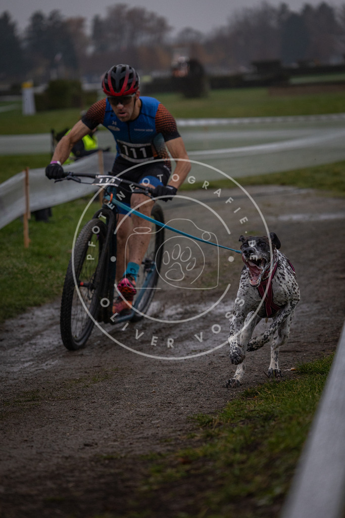 CaniXpix_0L8A0312 | Hundefotografie, Tierfotograf, Pfotenfotografie, Fotoshooting Hund, Hunde Portrait, Hundesport, Hundeportraits, Heideshooting, Hunde, Sportfotograf, Hundefotograf, Turnierhundsport, THS,  - Realisiert mit Pictrs.com
